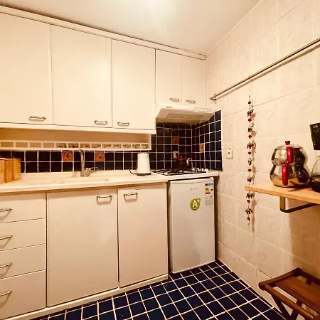 Villa Time Traveler's House - Eski *